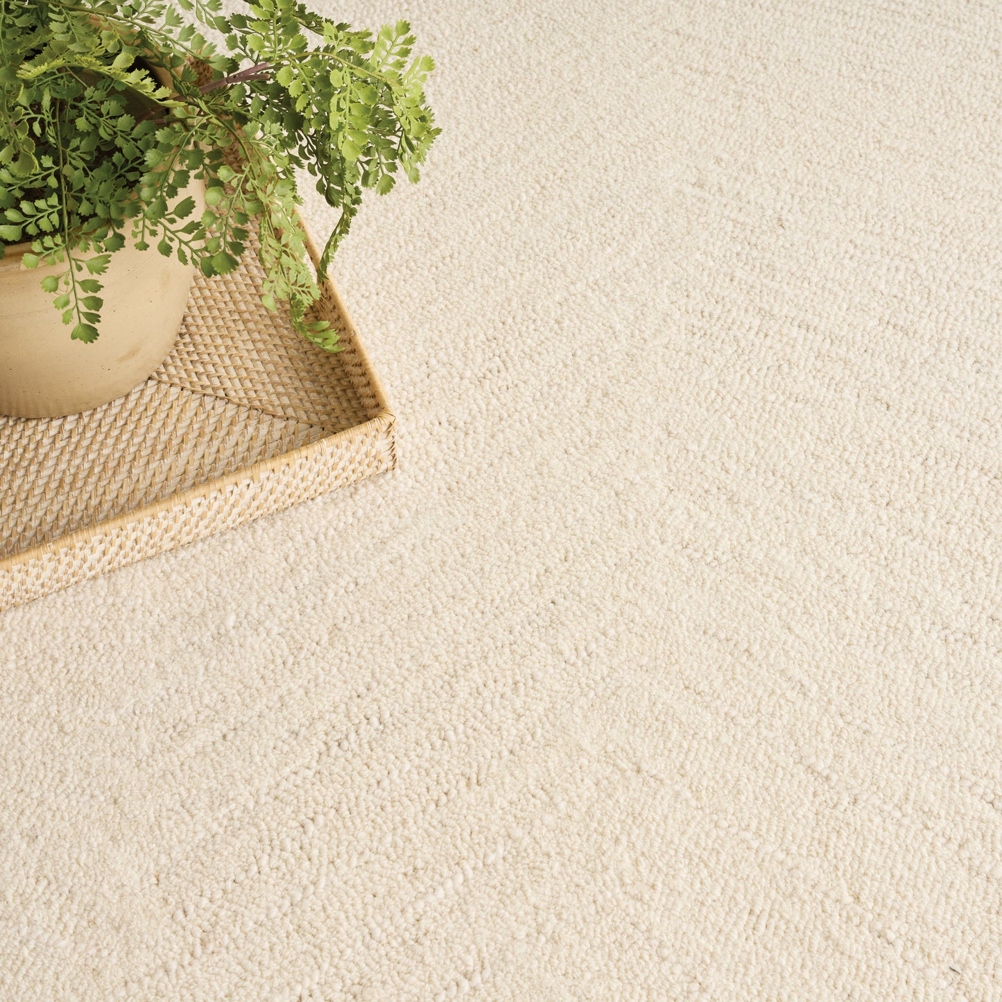 Beige rug with a light textured surface.