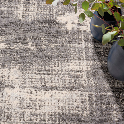 Gray and ivory geometric patterned area rug with dark gray ceramic pots and green leafy plant on the right.