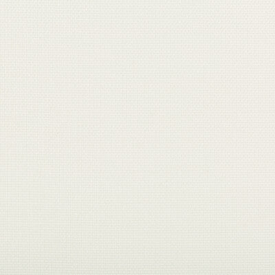 KRAVET CONTRACT  TEXTURE WHITE,WHITE,   - 4645.1.0