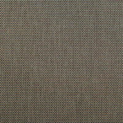 KRAVET CONTRACT  TEXTURE BEIGE,CHARCOAL,   - 4645.1621.0