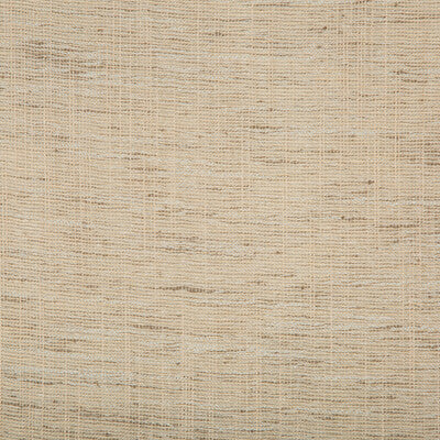 KRAVET BASICS SHEER TEXTURE BEIGE,NEUTRAL,   - 4664.16.0