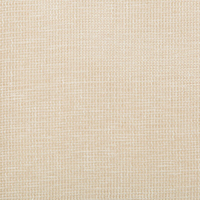 KRAVET BASICS SHEER TEXTURE BEIGE,BEIGE,   - 4675.16.0