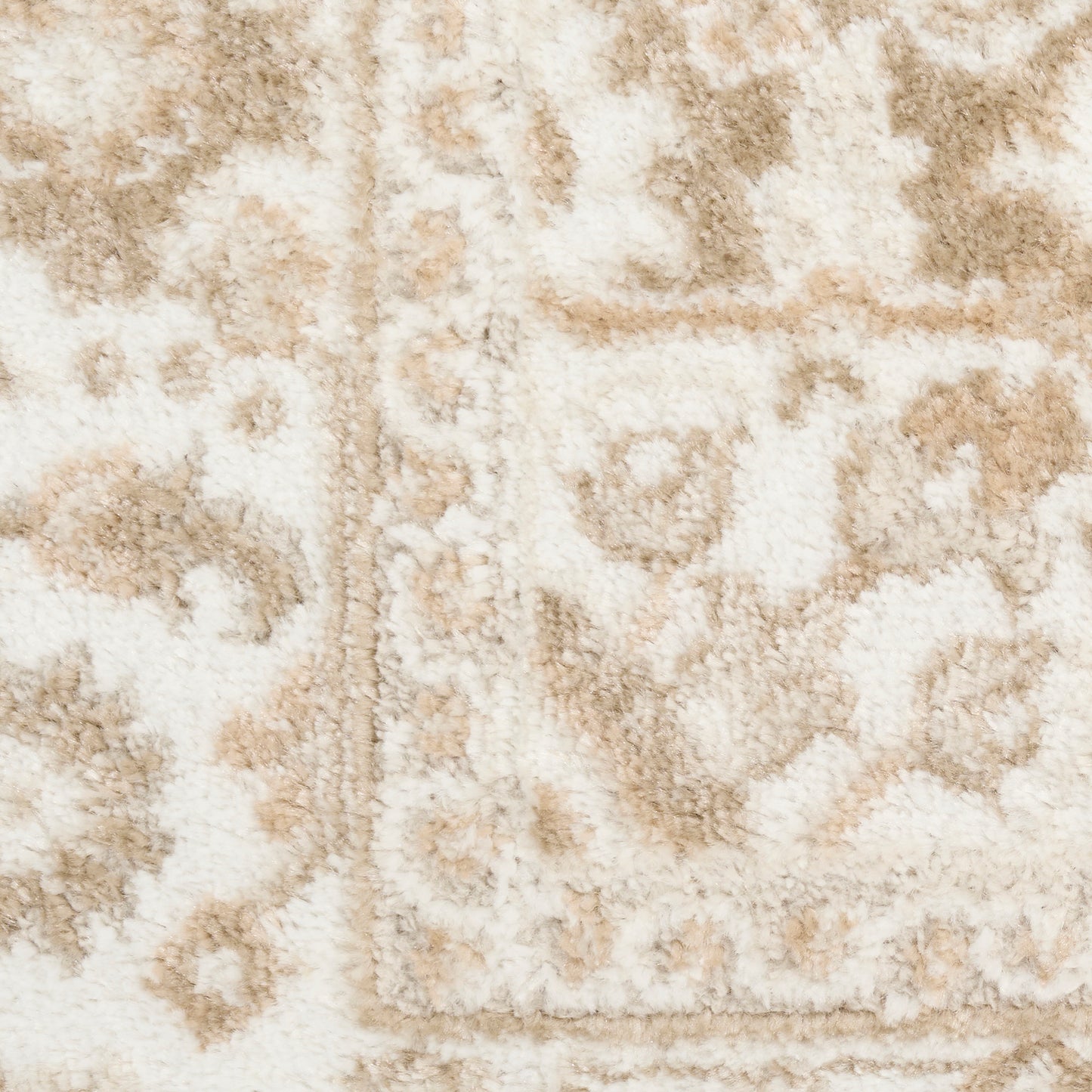 Cream and beige oriental rug close-up, plush pile with ornate floral motif and border.