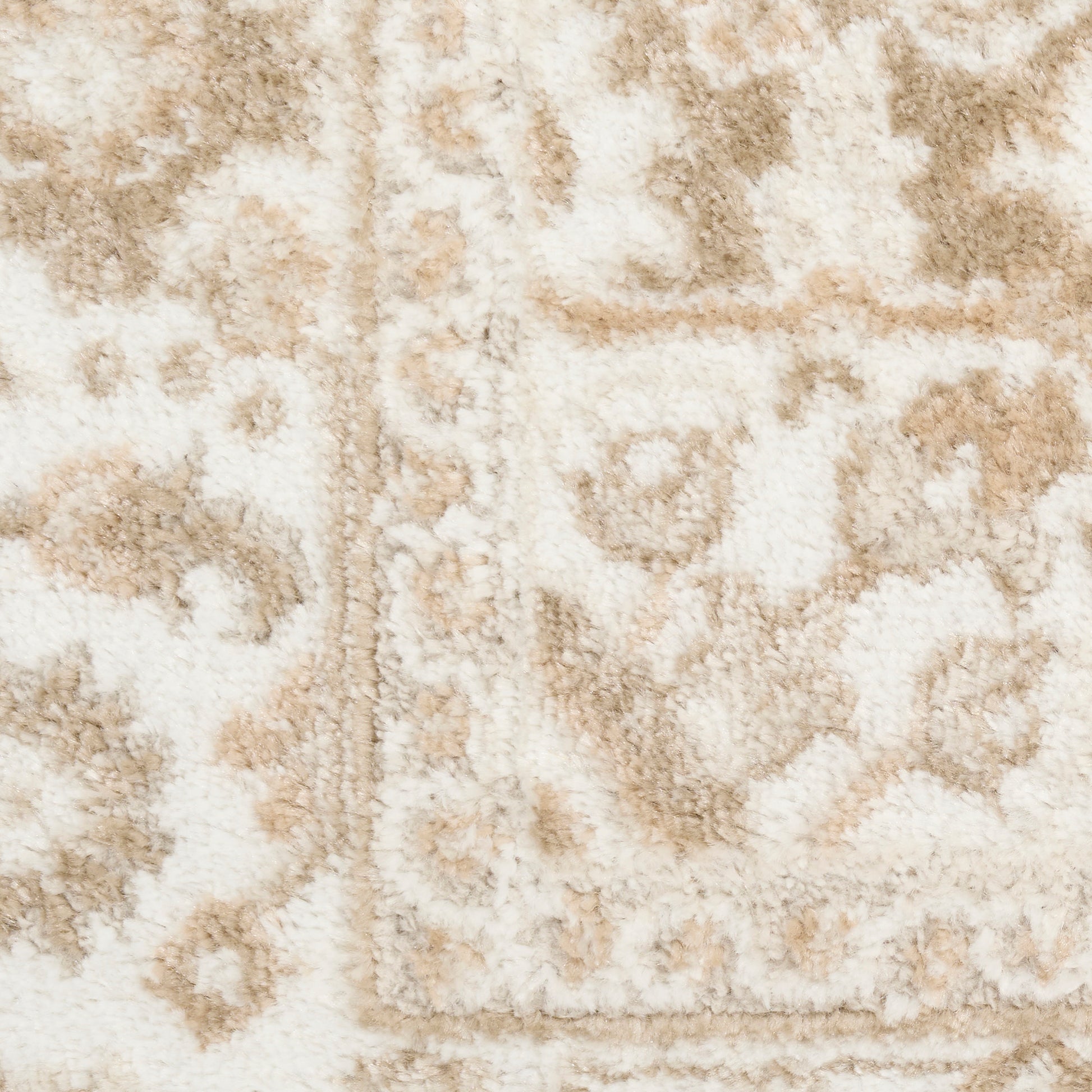 Cream and beige oriental rug close-up, plush pile with ornate floral motif and border.