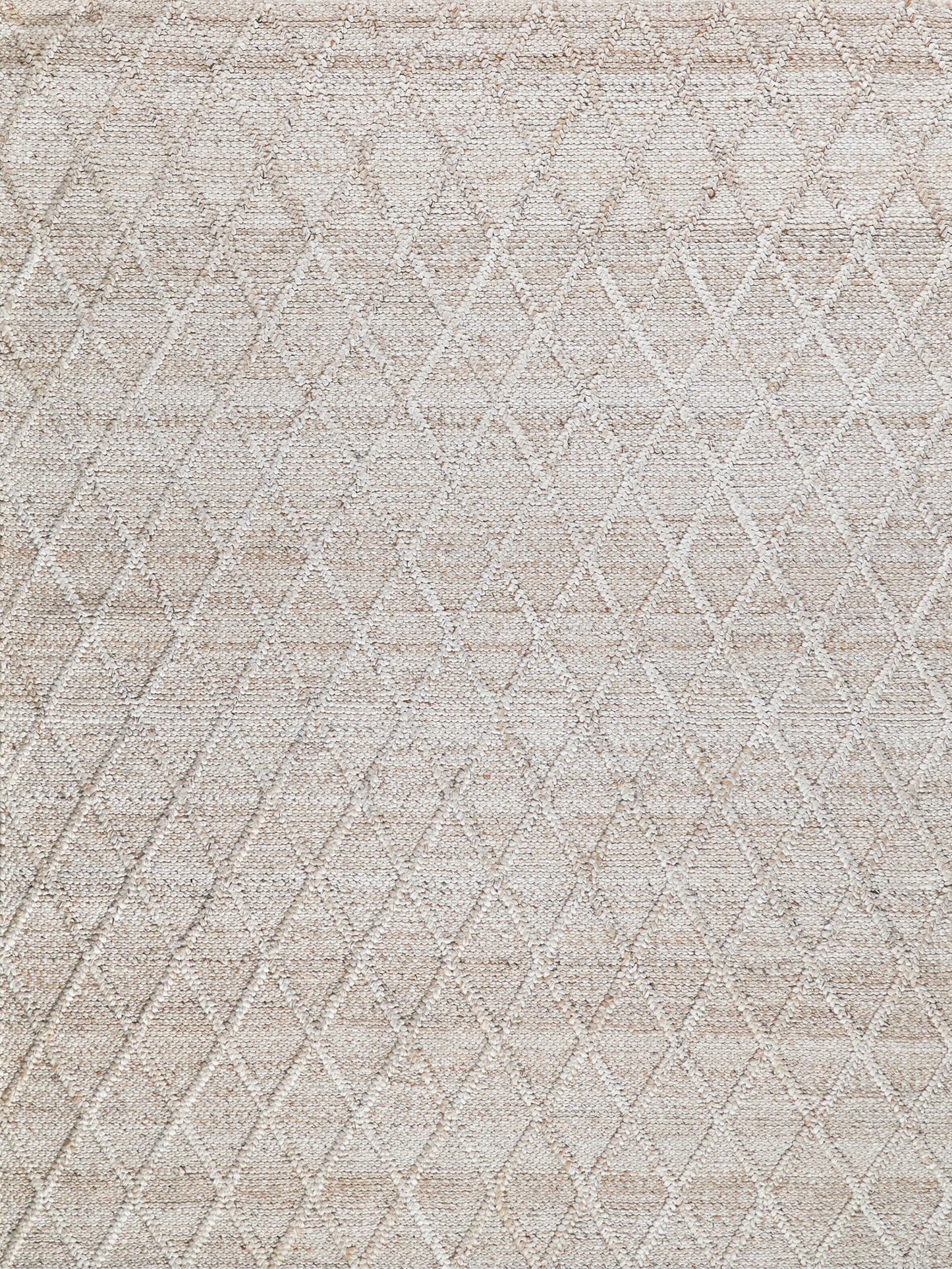 EXQUISITE RUGS   Handwoven Rectangle    - 4703-2'X3'