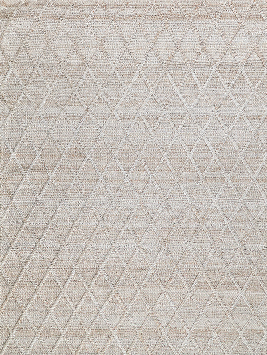 EXQUISITE RUGS   Handwoven Rectangle    - 4703-2'X3'