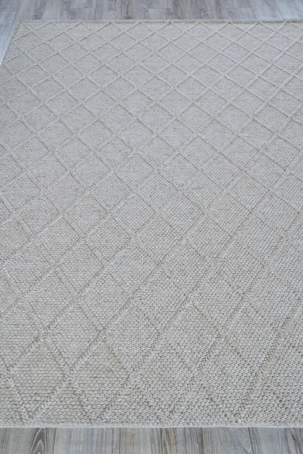 EXQUISITE RUGS   Brentwood Indoor Hand Woven    - 4715-2'X3'