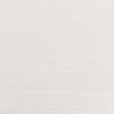 KRAVET BASICS SHEER TEXTURE WHITE,WHITE,   - 4721.101.0