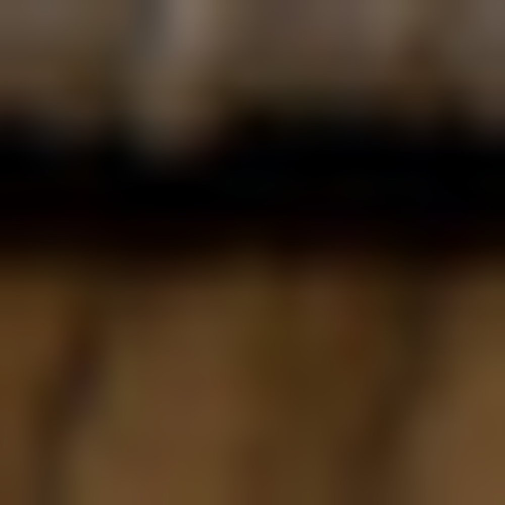 8' X 11' Rust And Ivory Oriental Area Rug