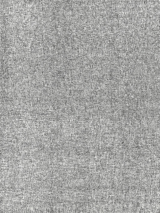 EXQUISITE RUGS   Caprice Indoor Hand Tufted    - 4765-2'X3'