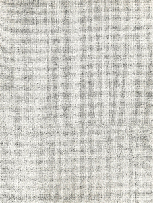 EXQUISITE RUGS   Caprice Indoor Hand Tufted    - 4766-2'X3'