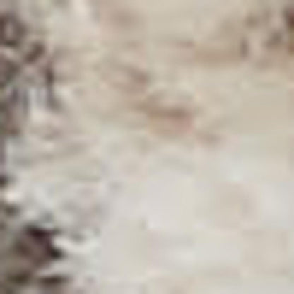 2' X 4' Beige And Ivory Oriental Distressed Area Rug