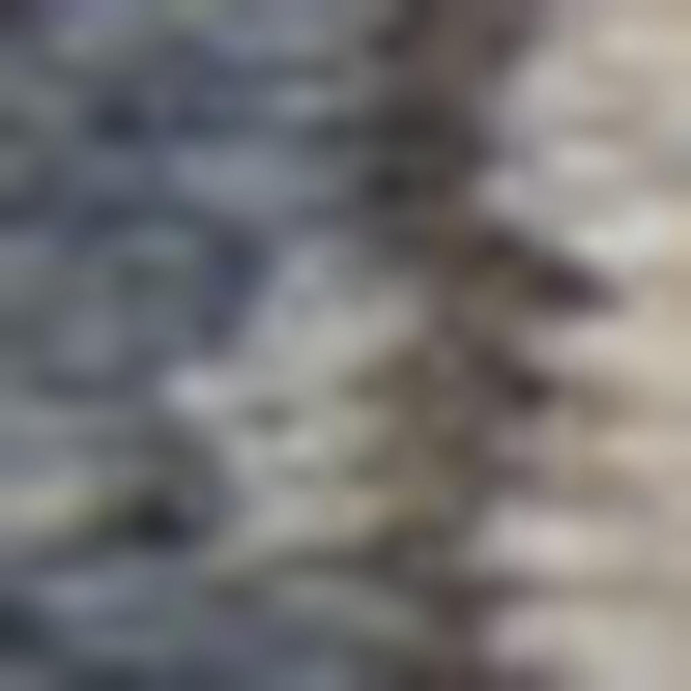 4' X 6' Blue and Beige Oriental Power Loom Non Skid Area Rug