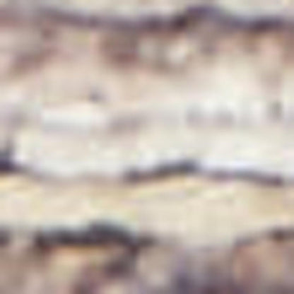 2' X 4' Ivory Latte Oriental Power Loom Distressed Washable Area Rug