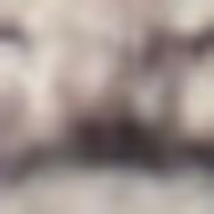 4' X 6' Ivory Latte Oriental Power Loom Distressed Washable Area Rug