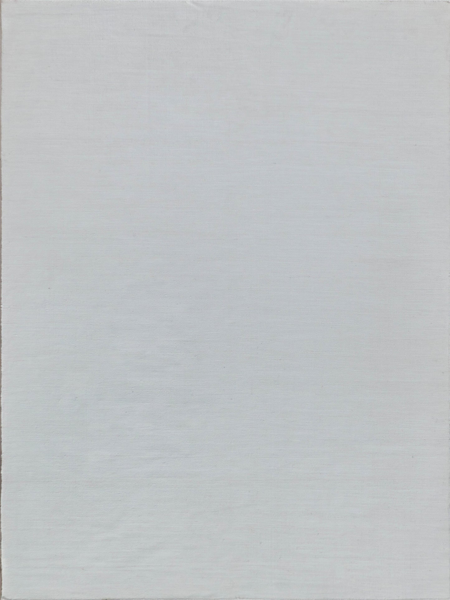 EXQUISITE RUGS   Kashmir Indoor/Outdoor Flat Weave    - 4851-10'X14'