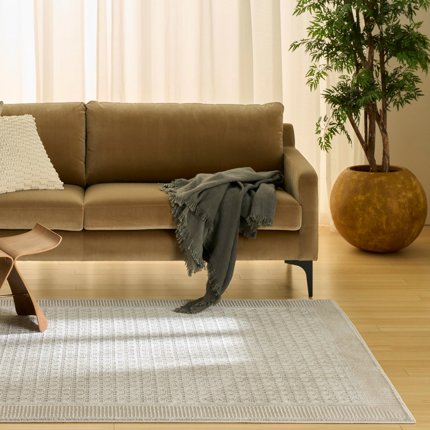 Beige-brown sofa with gray fringed throw, white pillow, light woven rug, and a potted tree in a terracotta pot.