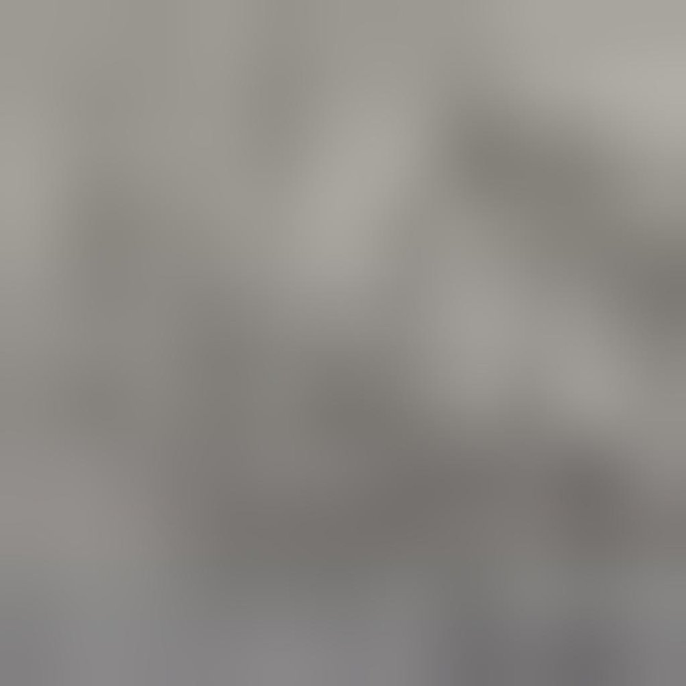 9' X 12' Blue Gray Southwestern Floral Stain Resistant Area Rug