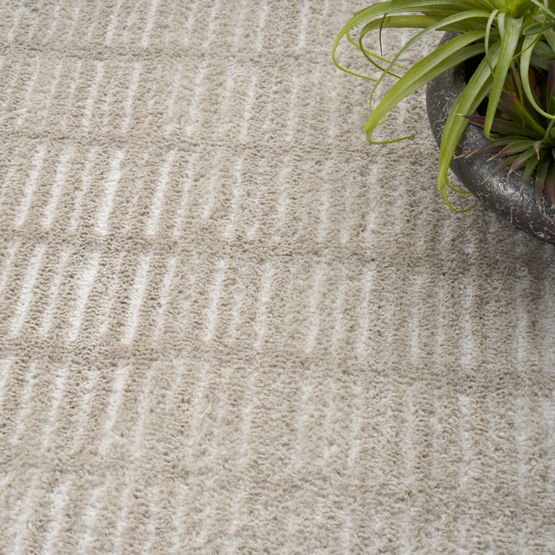 Beige plush rug with linear striped texture and a green plant in a dark pot at top-right.
