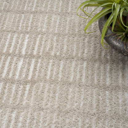 Beige plush rug with linear striped texture and a green plant in a dark pot at top-right.