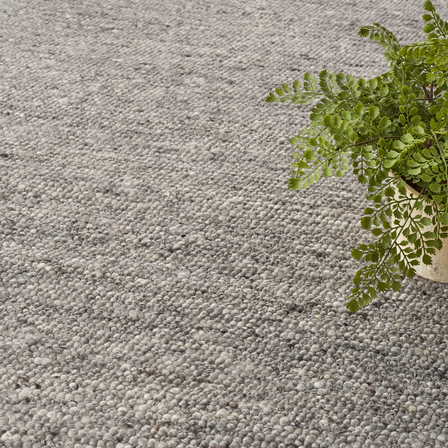Gray textured rug with pebble loop-pile and a potted fern on the right.