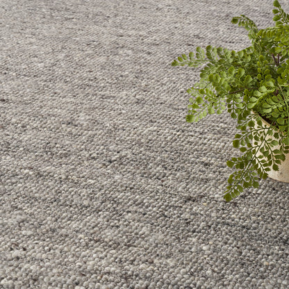 Gray textured rug with pebble loop-pile and a potted fern on the right.