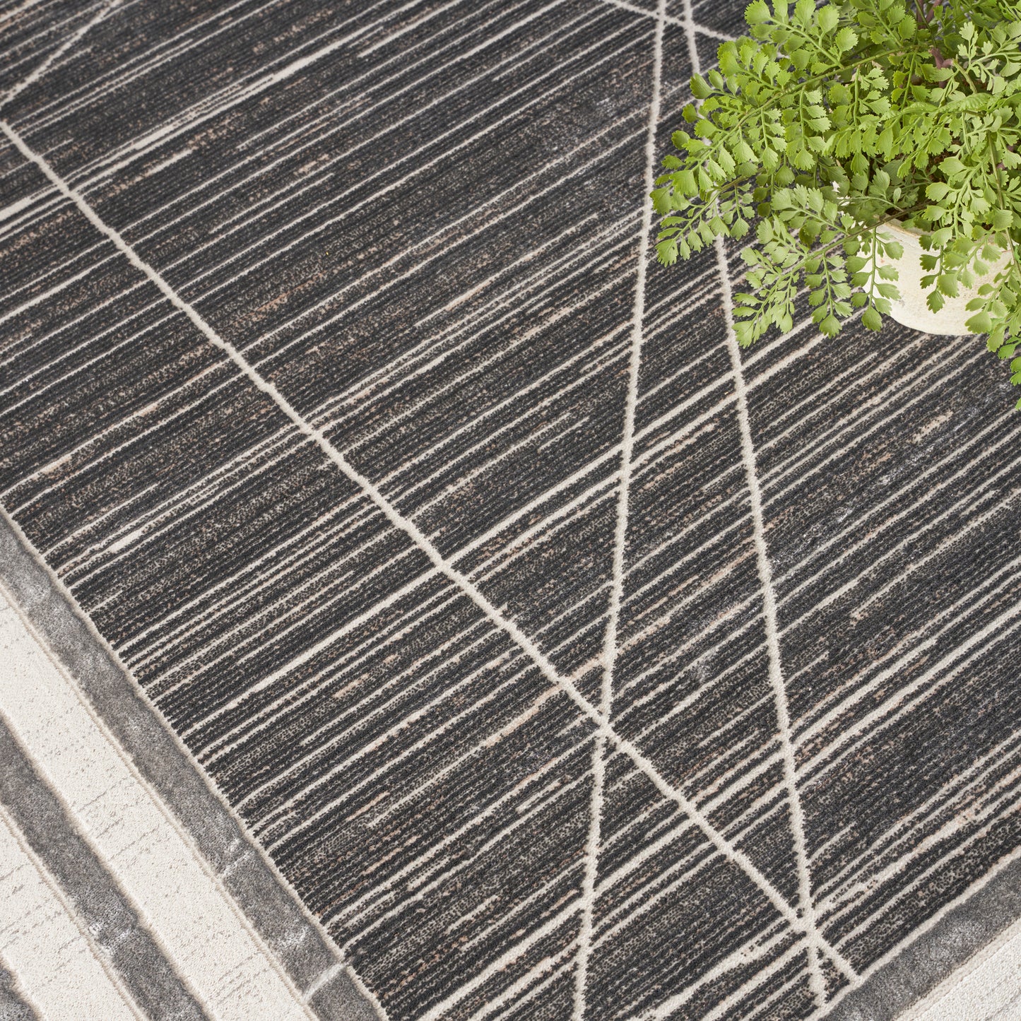 Charcoal rug with cream linear lines forming a geometric pattern; modern flatweave beside a potted fern.