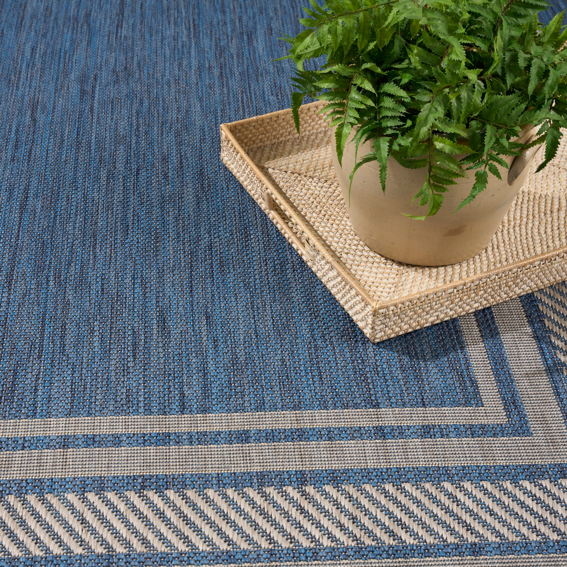 Blue woven rug, 4' x 6', with a geometric border; beige planter on a woven tray holding a green fern.