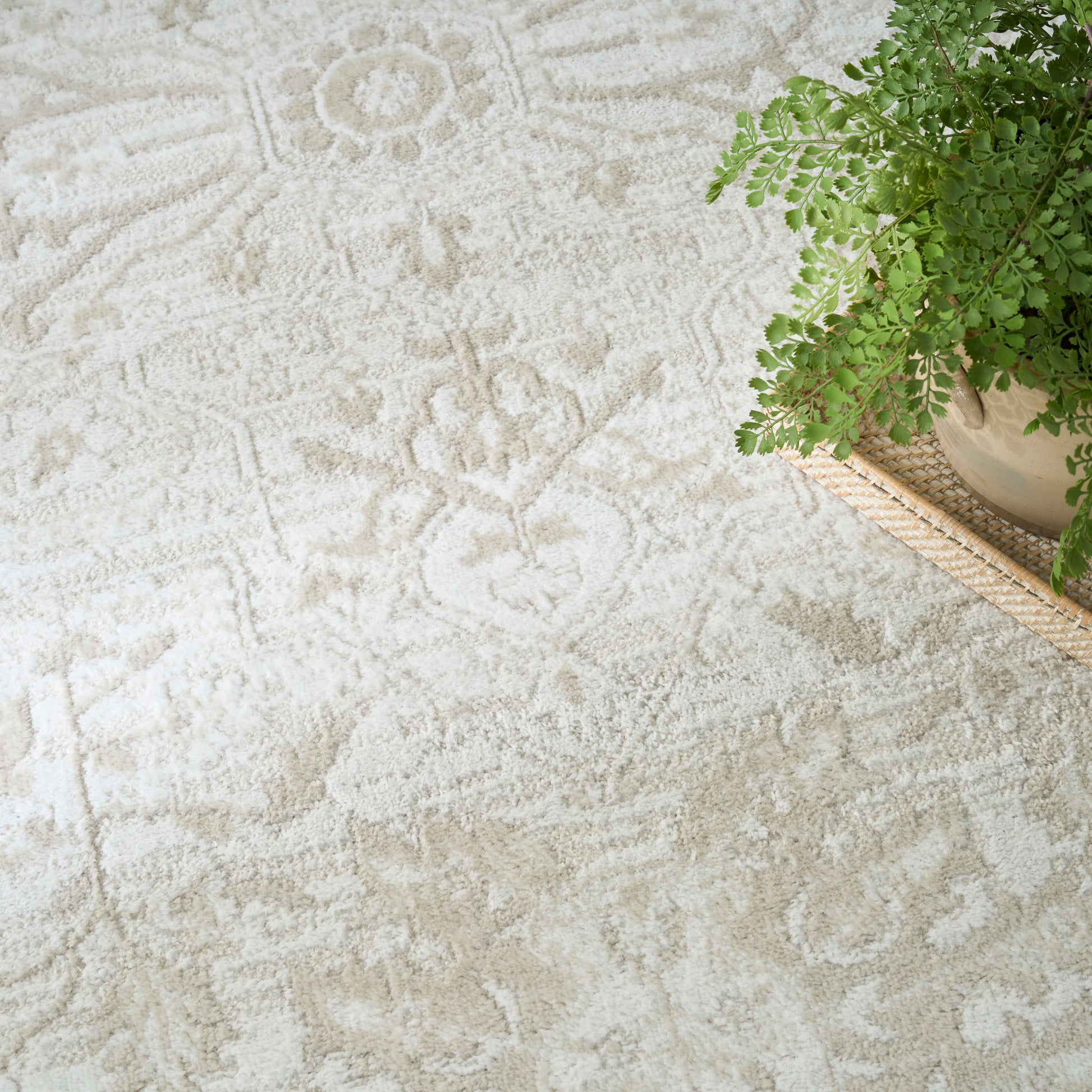 Beige oriental-style rug with floral and geometric motifs; green fern in pot on a woven tray.