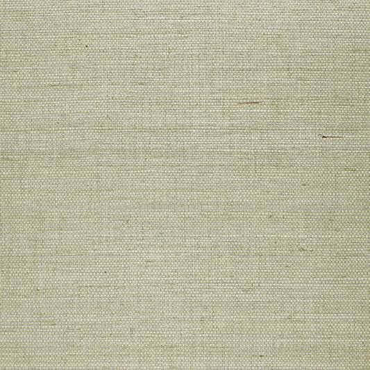 SCHUMACHER WALLCOVERING  QUIET BEAUTY SUWON SISAL   AQUA   - 5000760