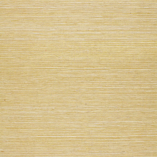 SCHUMACHER  QUIET BEAUTY SUWON SISAL   GOLD   - 5000762
