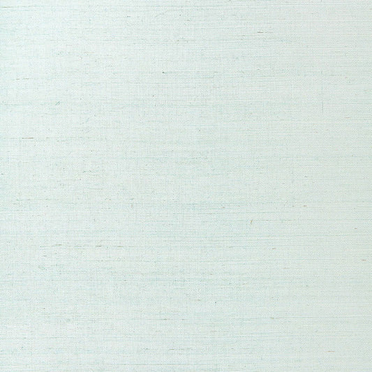 SCHUMACHER  QUIET BEAUTY SUWON SISAL   SILVER SURF   - 5000764