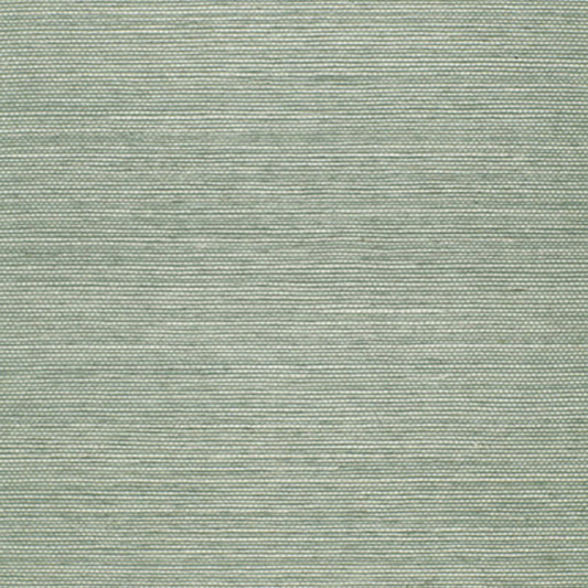 SCHUMACHER WALLCOVERING  QUIET BEAUTY ONNA SISAL   AQUA   - 5002191