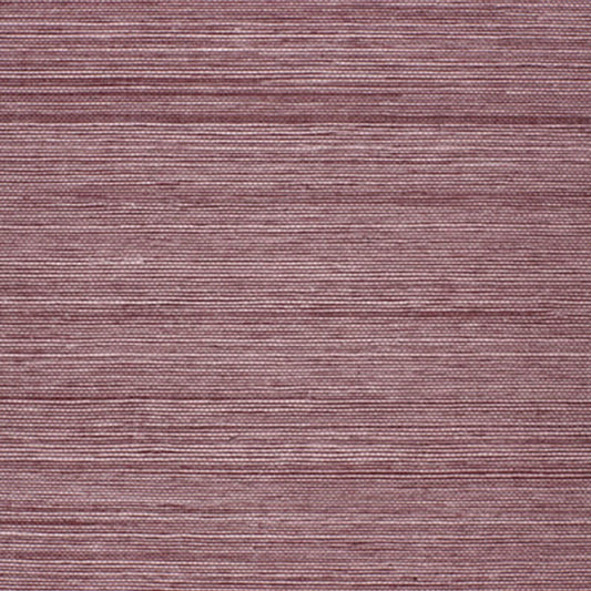 SCHUMACHER  QUIET BEAUTY ONNA SISAL   PURPLE   - 5002193