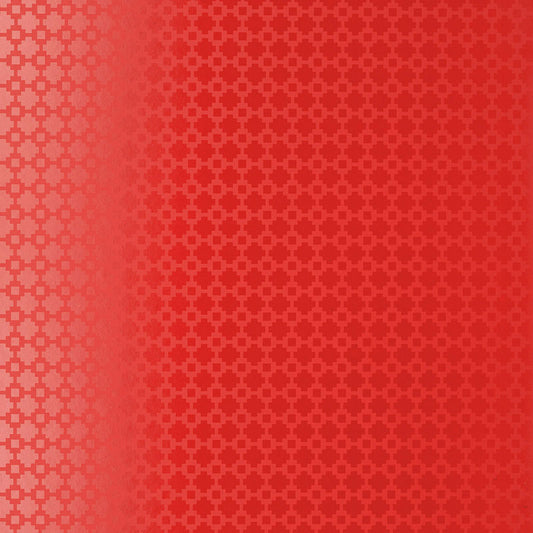 SCHUMACHER  ESSENTIAL SHAKE IT UP   LACQUER GLOSS   - 5003234