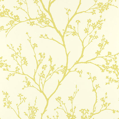 SCHUMACHER  AVANT GARDE TWIGGY   SOFT CHARTREUSE   - 5003342