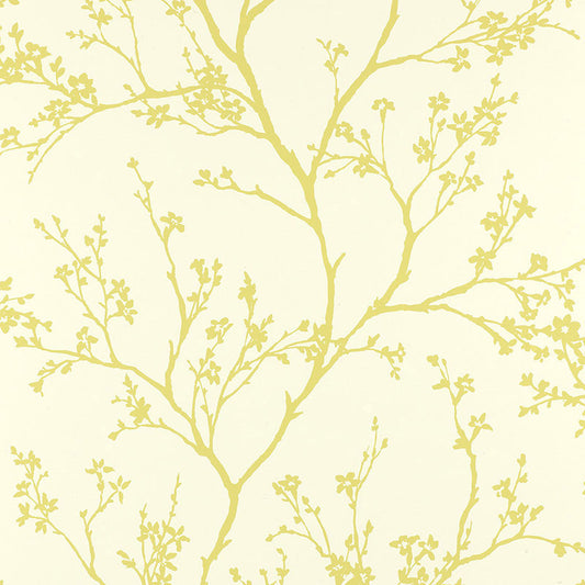 SCHUMACHER  AVANT GARDE TWIGGY   SOFT CHARTREUSE   - 5003342