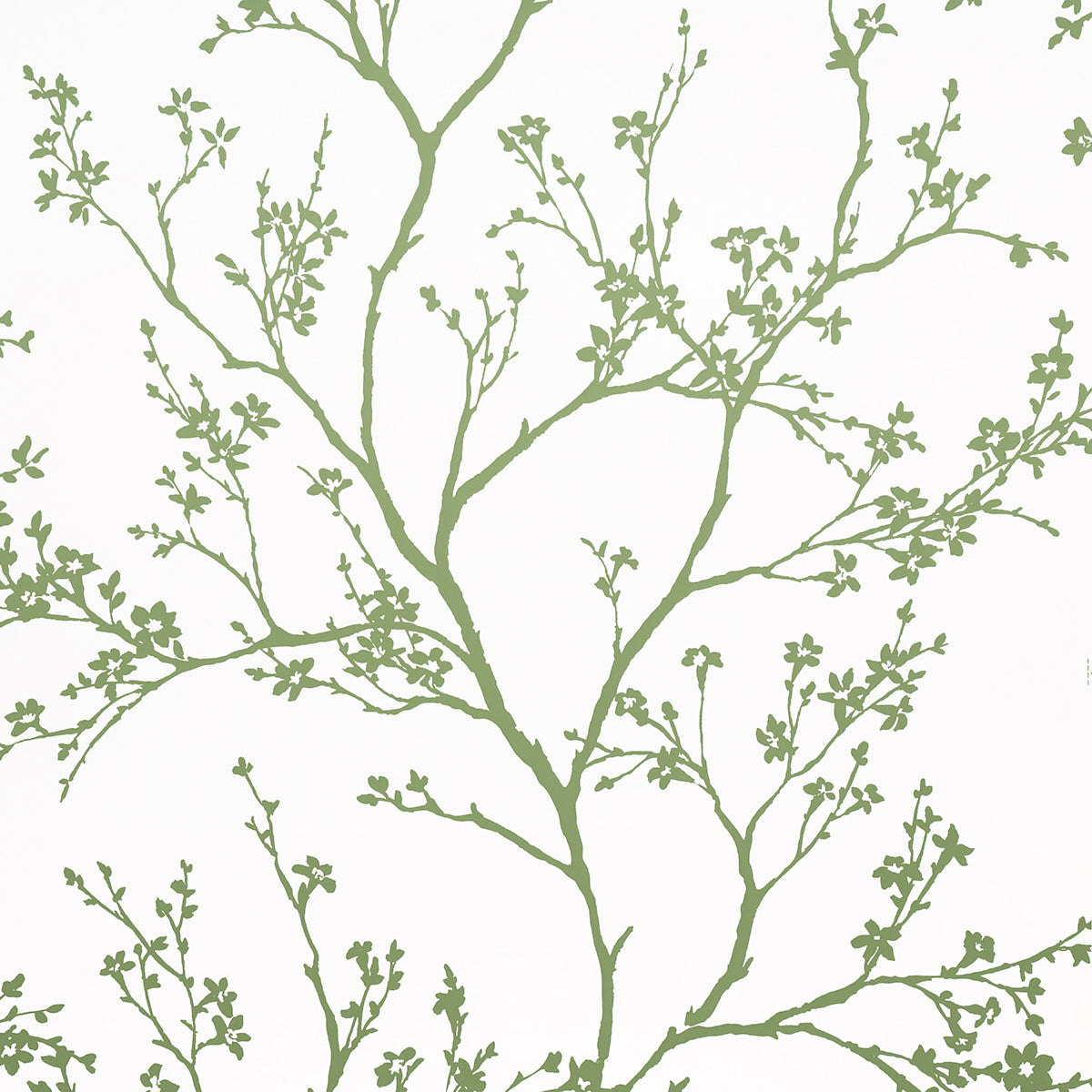 SCHUMACHER WALLCOVERING  MOON RIVER TWIGGY   GREEN   - 5003345