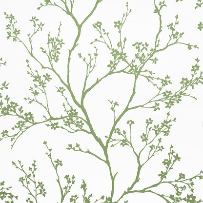 SCHUMACHER WALLCOVERING  MOON RIVER TWIGGY   GREEN   - 5003345