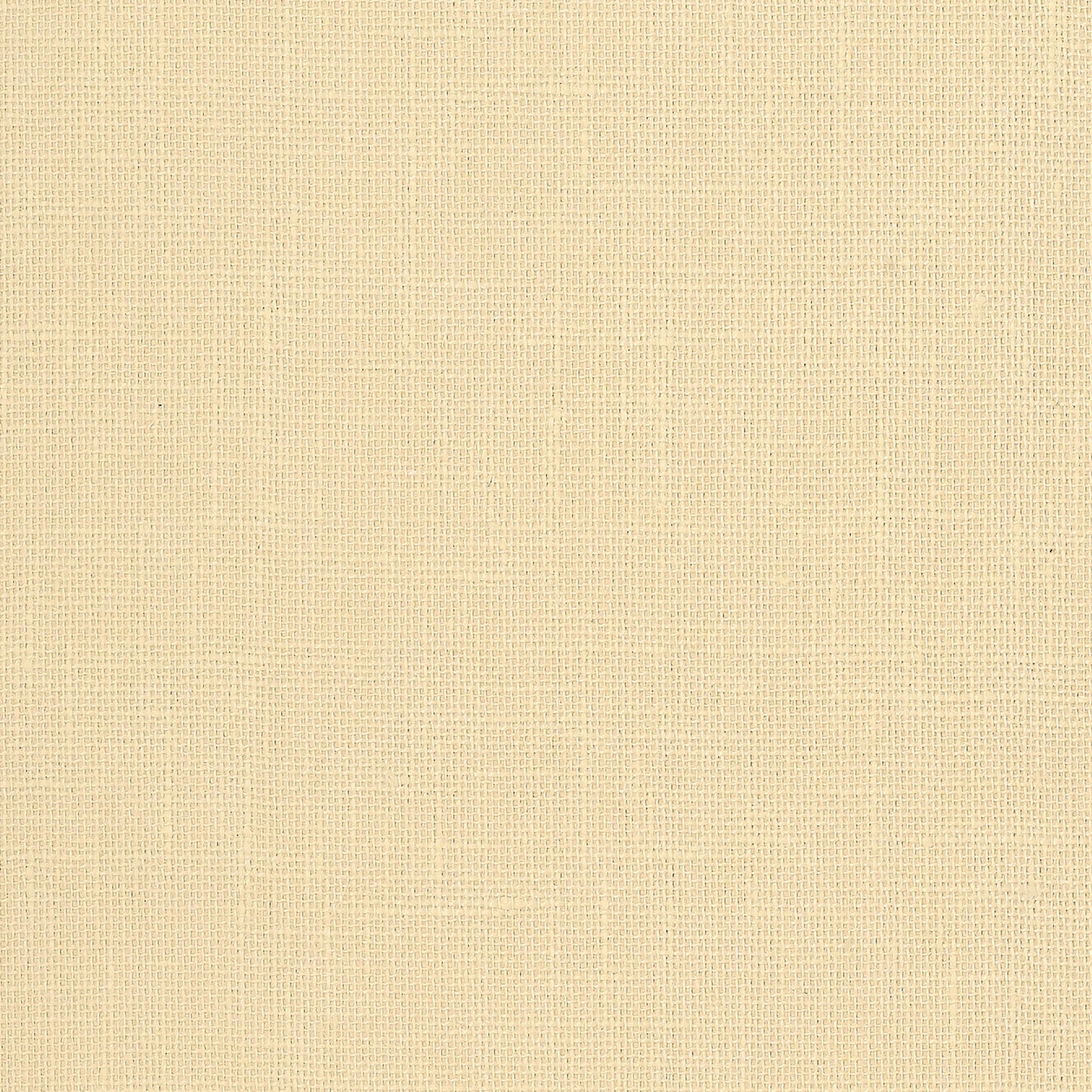 SCHUMACHER  ATELIER ADHAFERA GROUND   OATMEAL   - 5003580