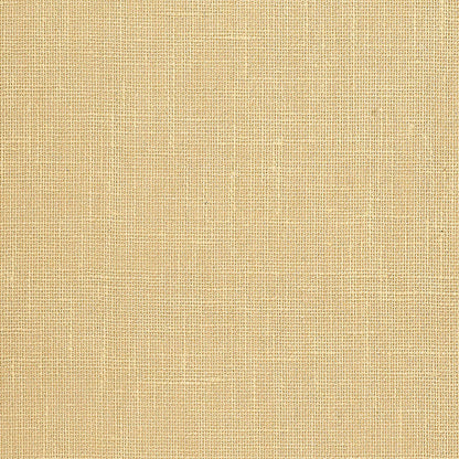 SCHUMACHER  ATELIER ADHAFERA GROUND   STRAW   - 5003581