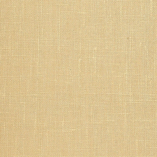 SCHUMACHER  ATELIER ADHAFERA GROUND   STRAW   - 5003581