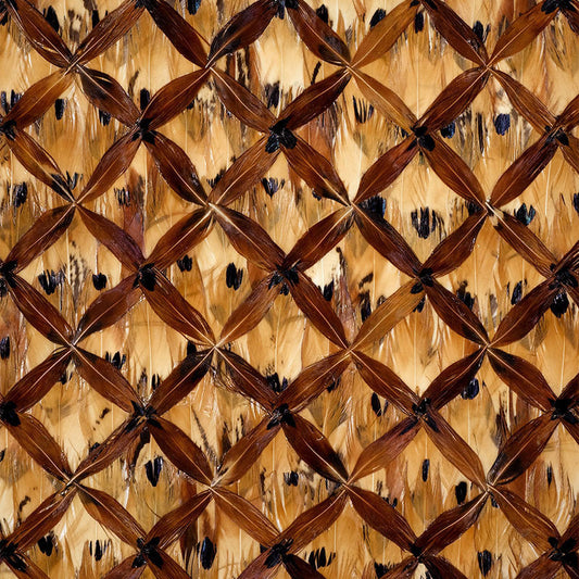 SCHUMACHER  NEST WELLESLEY   TIGER'S EYE   - 5003830