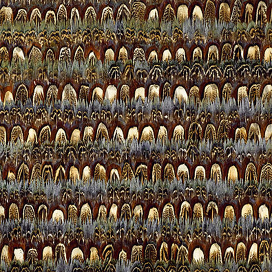 SCHUMACHER  NEST MONTAUK   TOPAZ   - 5003850