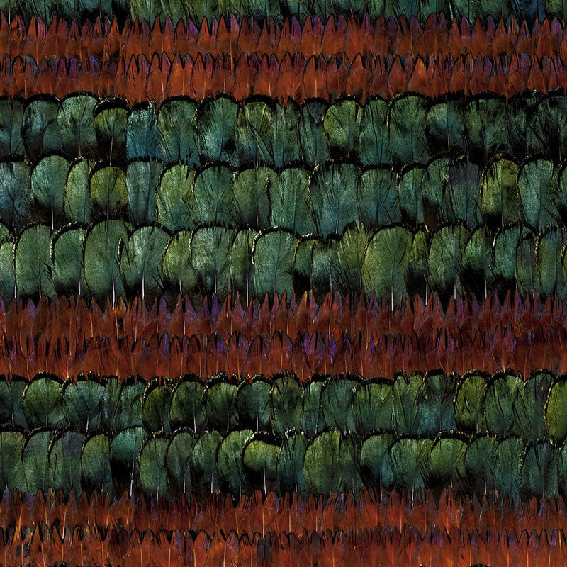 Close-up of textured textile with scale-like emerald green and teal segments, separated by rust-red bands.