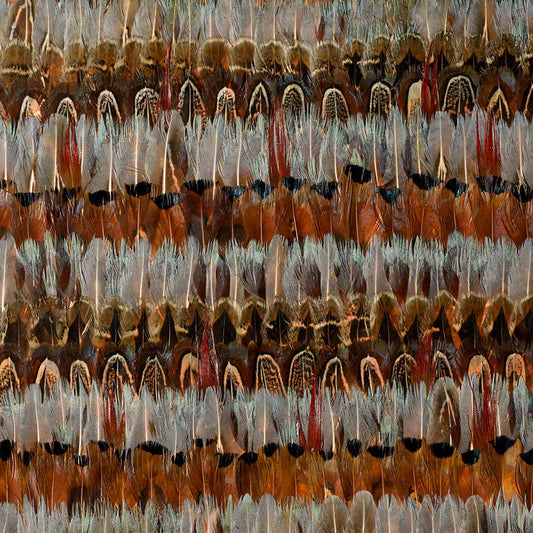 SCHUMACHER  NEST WILDWOOD   JEWEL   - 5003900