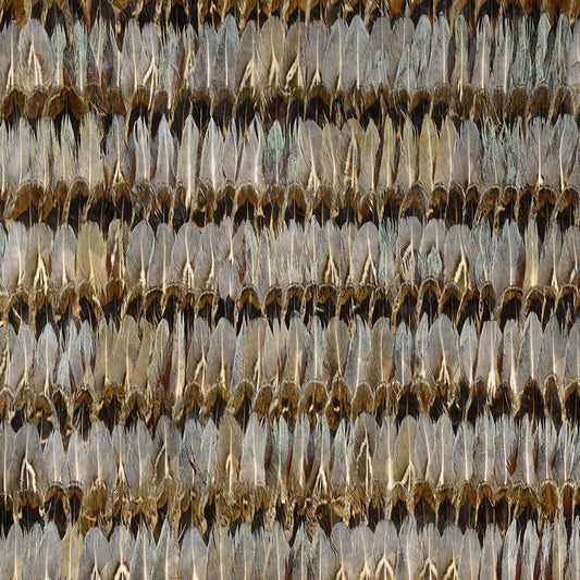 SCHUMACHER  NEST EVERGLADES   DOVE   - 5003930