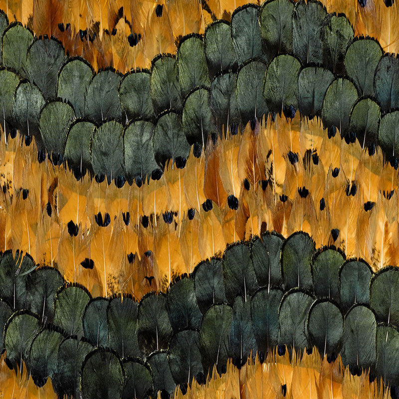 Abstract pattern of overlapping emerald-green scalloped scales on a warm orange background.