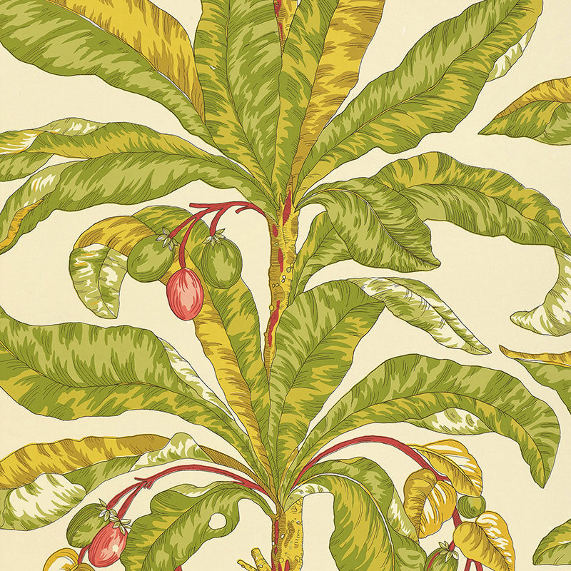 Botanical illustration of a tropical palm with long green leaves and red berries on a beige background.