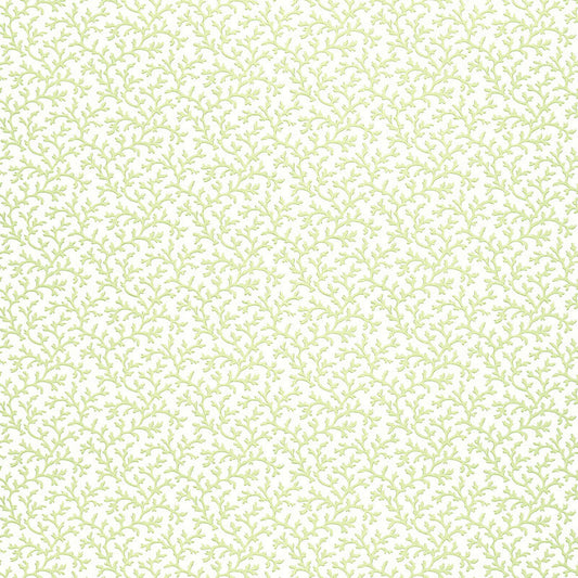 SCHUMACHER  SIMPLY CHARMING CORAL VINE   ALOE   - 5004412